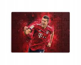 puzzle-30-70-96-110-elementow-sublimacja-eko-pudelko-lewandowski-wzory