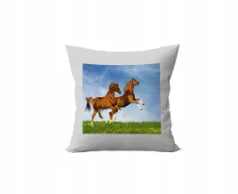 poduszka-personalizowana-konie-bajki-pomysl-na-prezent-super-grafiki