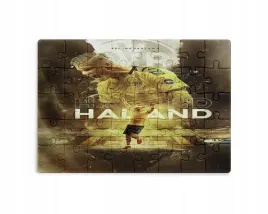 puzzle-30-70-96-110-elementow-sublimacja-eko-pudelko-haaland-rozne-wzory