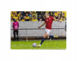 puzzle-30-70-96-110-elementow-sublimacja-eko-pudelko-haaland-rozne-grafiki