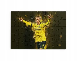 puzzle-30-70-96-110-elementow-sublimacja-eko-pudelko-haaland-rozne-grafiki