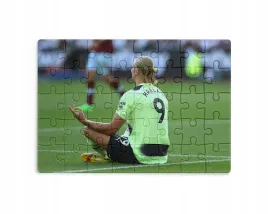 puzzle-30-70-96-110-elementow-sublimacja-eko-pudelko-haaland-rozne-wzory