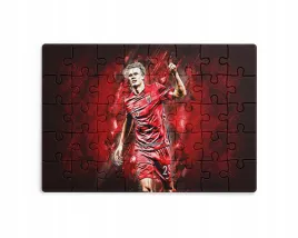 puzzle-30-70-96-110-elementow-sublimacja-eko-pudelko-haaland-rozne-grafiki
