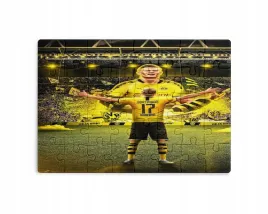 puzzle-30-70-96-110-elementow-sublimacja-eko-pudelko-haaland-rozne-wzory