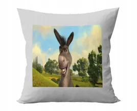 poduszka-personalizowana-shrek-bajki-pomysl-na-prezent-super-grafiki