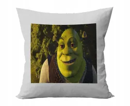 poduszka-personalizowana-shrek-bajki-pomysl-na-prezent-super-wzory