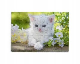puzzle-30-70-96-110-elementow-sublimacja-eko-pudelko-kotki-rozne-grafiki