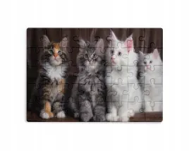 puzzle-30-70-96-110-elementow-sublimacja-eko-pudelko-kotki-rozne-grafiki