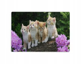 puzzle-30-70-96-110-elementow-sublimacja-eko-pudelko-kotki-rozne-wzory