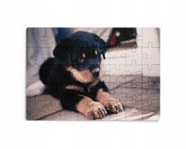 puzzle-30-70-96-110-elementow-sublimacja-eko-pudelko-pieski-rozne-wzory