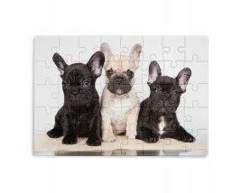 puzzle-30-70-96-110-elementow-sublimacja-eko-pudelko-pieski-rozne-grafiki