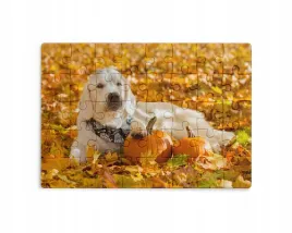 puzzle-30-70-96-110-elementow-sublimacja-eko-pudelko-pieski-rozne-wzory