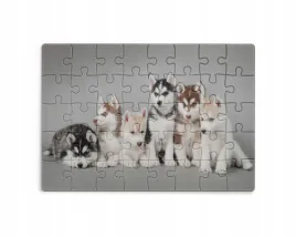 puzzle-30-70-96-110-elementow-sublimacja-eko-pudelko-pieski-rozne-wzory