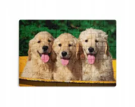 puzzle-30-70-96-110-elementow-sublimacja-eko-pudelko-pieski-rozne-grafiki