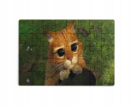 puzzle-30-70-96-110-elementow-sublimacja-eko-pudelko-shrek-rozne-grafiki