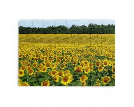 puzzle-30-70-96-110-elementow-sublimacja-eko-pudelko-kwiaty-rozne-grafiki