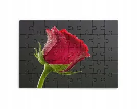 puzzle-30-70-96-110-elementow-sublimacja-eko-pudelko-kwiaty-rozne-wzory