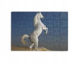 puzzle-30-70-96-110-elementow-sublimacja-eko-pudelko-konie-rozne-grafiki