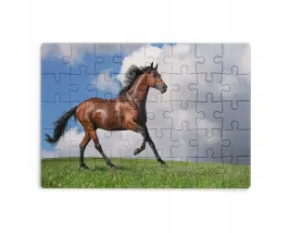 puzzle-30-70-96-110-elementow-sublimacja-eko-pudelko-konie-rozne-wzory