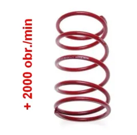 sprezyna-centralna-sprzegla-tuning-do-rex-monza-off-limit-rs-750-50-4t