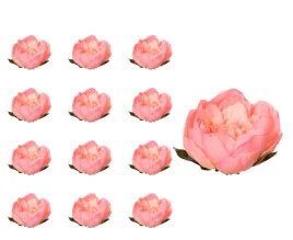 peonia-glowka-rozowa-z-kremem-12-sztuk