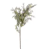 sztuczne-liscie-asparagus-galazka-dekoracyjna-do-wiazanek-kompozycji-stan-nowy