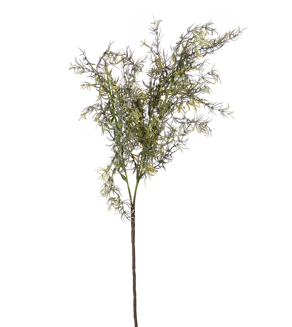 sztuczne-liscie-asparagus-galazka-dekoracyjna-do-wiazanek-kompozycji-stan-nowy