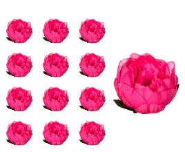 peonia-glowka-ciemno-rozowa-12-sztuk