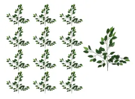 fikus-galazka-zielona-lisciasta-60cm-12-sztuk