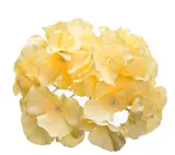 sztuczne-kwiaty-hortensja-16cm-zolta-glowka-wyrobowa-stan-nowy