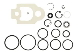 zestaw-naprawczy-pompy-paliwa-del7135-277b