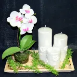 swieca-adel-walec-perlowy-h10cm-marka-artman