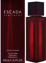 escada-sentiment-for-men-woda-toaletowa-100ml