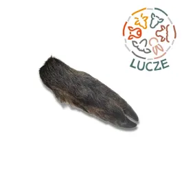 noga-z-dzika-z-sierscia-przysmak100percentnaturalny-1szt