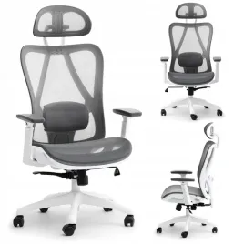 ergonomiczny-fotel-biurowy-do-gabinetu-z-podlokietnikami-daren-szary