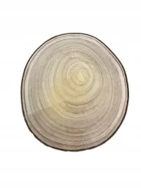 plaster-prawdziwe-drzewo-drewno-dekoracja-sztuka-rekodzielo-275-x-30-cm