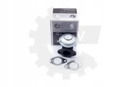 zawor-egr-audi-skoda-vw-skv