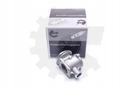 zawor-egr-bmw-skv