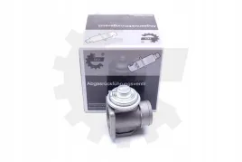 zawor-egr-bmw-opel-skv