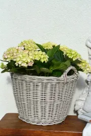 kosz-wiklinowy-uniwersalny-bezowy-5-wielkosci
