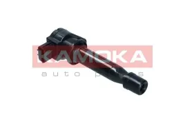cewka-zaplonowa-7120176-kao