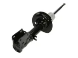 amortyzator-g16356-mon