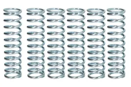 zestaw-sprezyn-sprzegla-mef105-6-trw