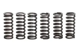 zestaw-sprezyn-sprzegla-mef157-6-trw