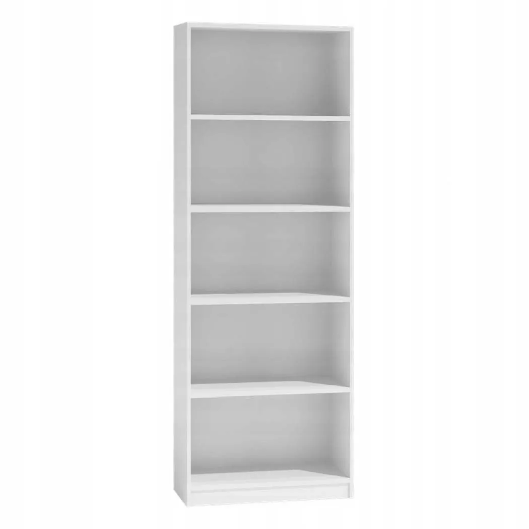 regal-r60-biel