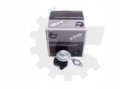 zawor-egr-lancia-phedra-skv