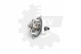 termostat-bmw-5-e39-96-3-5-20skv037