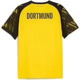 borussia-dortmund-home-replica-marka-puma