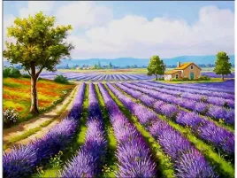 obraz-malowanie-po-numerach-rama-50x40cm-pole-lawendy
