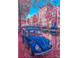 obraz-malowanie-po-numerach-rama-40x50cm-retro-garbus